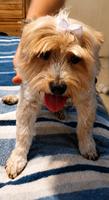 Tucker (#1367)